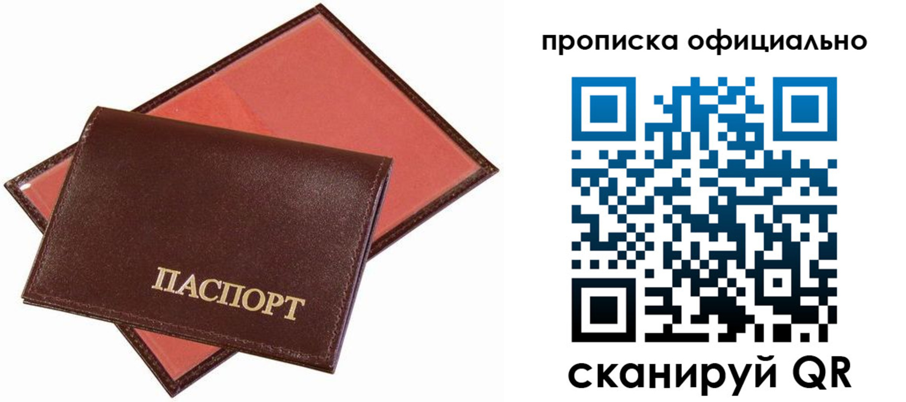 временная регистрация гарантия в Ростовской области